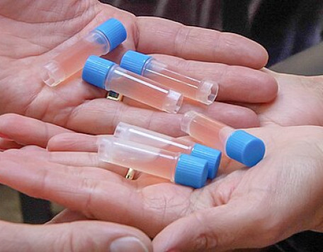 Stem cell vials in hands ama regenerative medicine